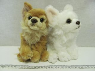 Obrázek z Pes Chihuahua sedící 16cm, 2dr. 